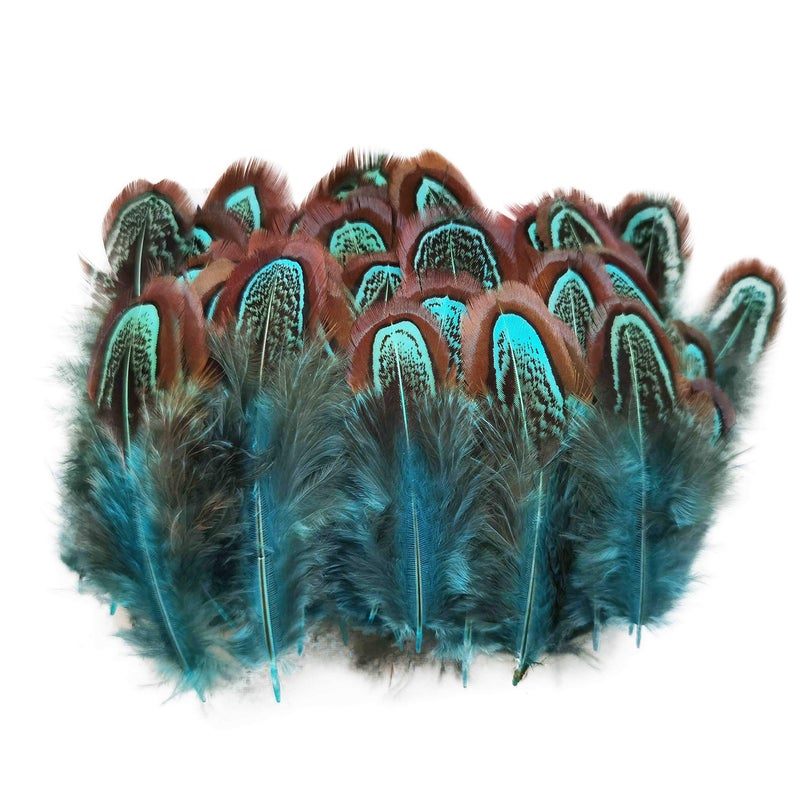 HAPPY FEATHER 50 pcs Natural Pheasant Plumage Feathers 2-3 Inches Plumage Feathers for Sewing Crafts Clothing Decorating Accessories -Blue - Image 1